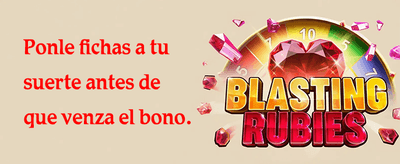 Special Bonus 06